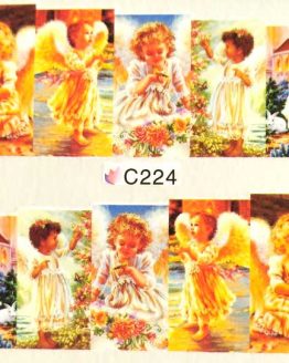 C224