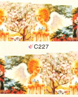 C227